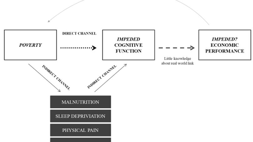 The effect of cognitive function on the poor's economic performance: Evidence from Cambodian smallholder farmers