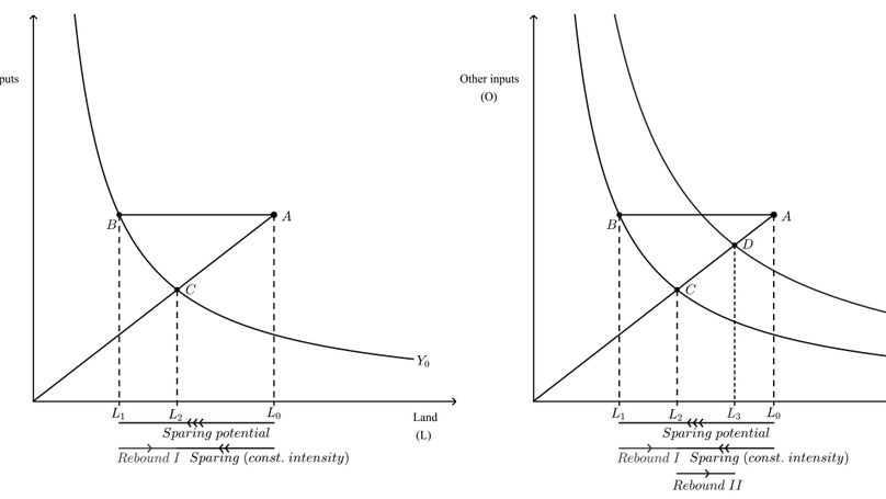 Technical Efficiency and Farmland Expansion: Evidence from Oil Palm Smallholders in Indonesia
